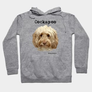 Golden Apricot Cockapoo / Spoodle and Doodle Dog Hoodie